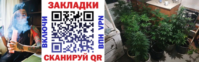 Как найти наркотики Тара COCAIN  СК  БУТИРАТ  ГАШИШ 